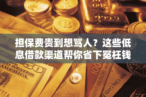 北京担保费贵到想骂人？这些低息借款渠道帮你省下冤枉钱