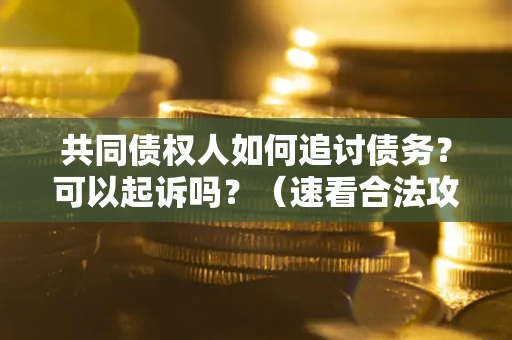 北京共同债权人如何追讨债务？可以起诉吗？（速看合法攻略）